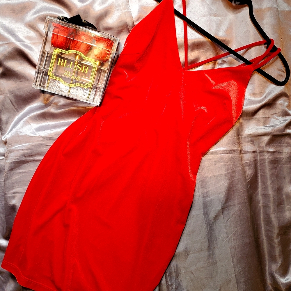 LOVELY DAY Mini Red Velvet Dress in M